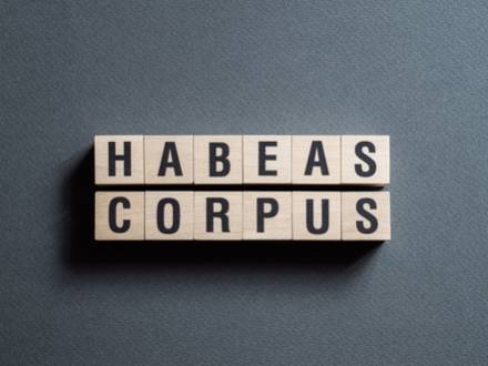 Conroe, TX criminal appeals lawyer