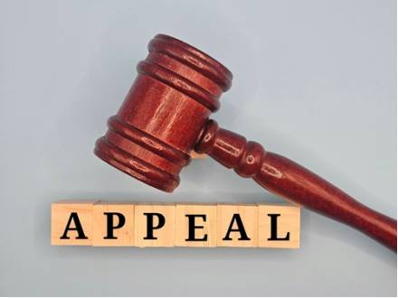 Conroe, TX appeals lawyer